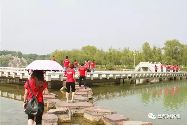 1497334769537337.jpg 3.jpg