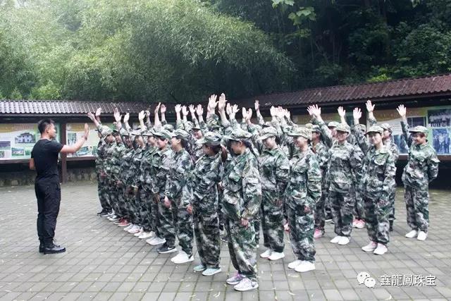 1501664381628651.jpg 8.jpg