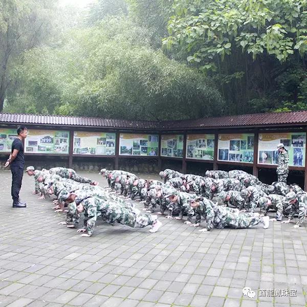 1501664393103422.jpg 9.jpg